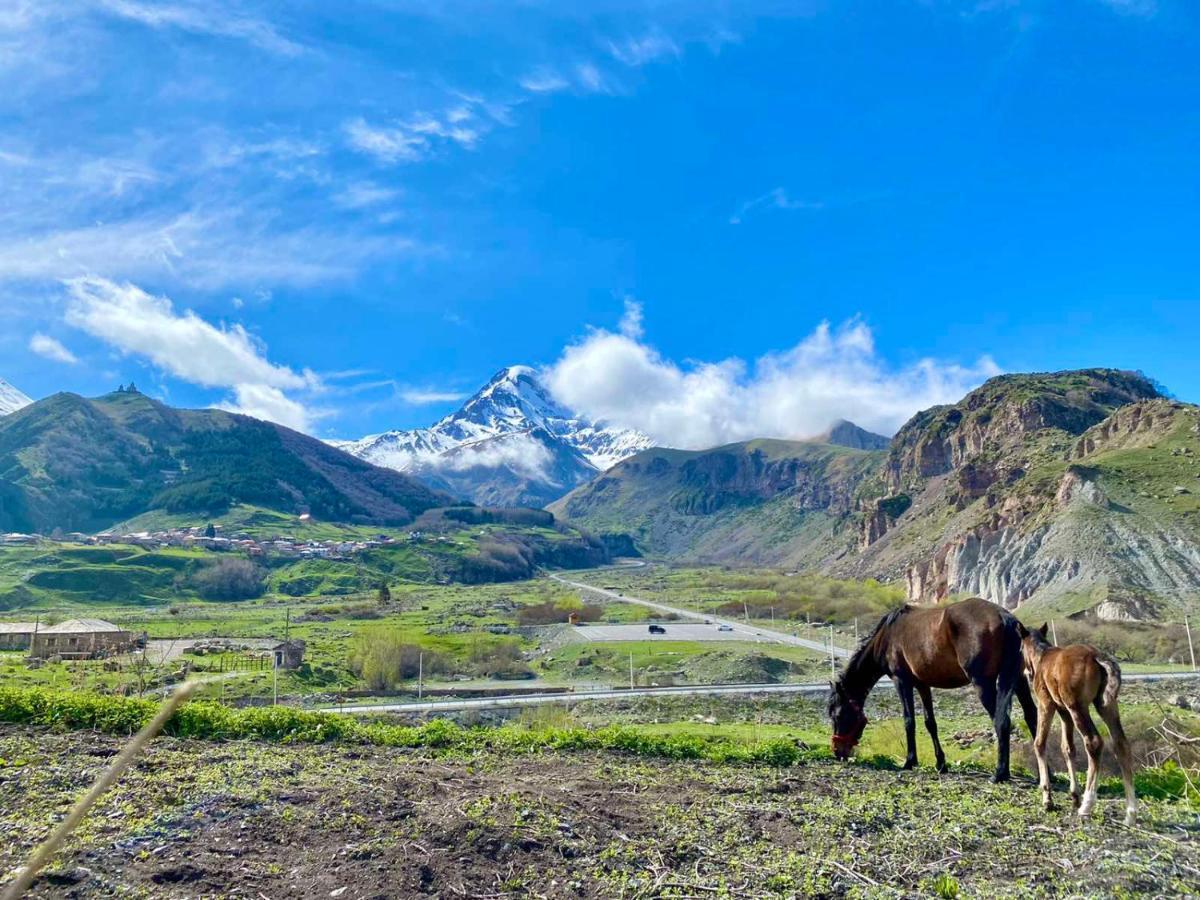 Kazbegi Inn Stepantsminda Exterior foto