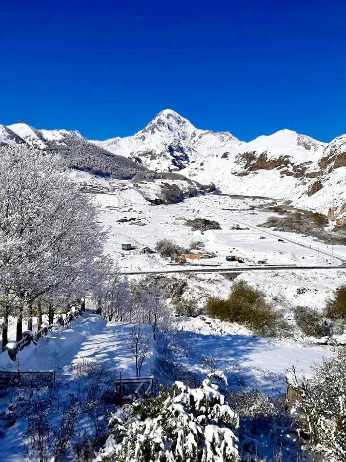 Kazbegi Inn Stepantsminda Exterior foto